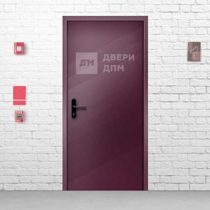 Противопожарная дверь глухая ДПМ-01 1-го типа однопольная со скрытыми петлями